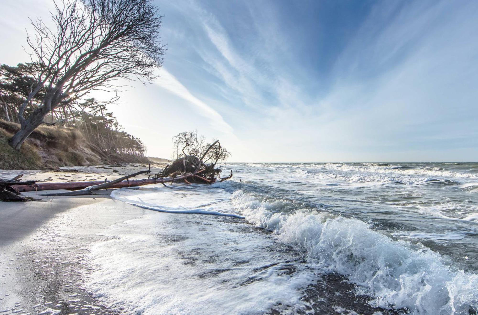Herzmuschel An Der Seebruecke Zingst Exterior photo
